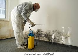 Reliable California, MD Mold Inspection Solutions